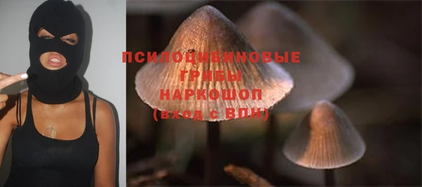 PSILOCYBIN Алзамай