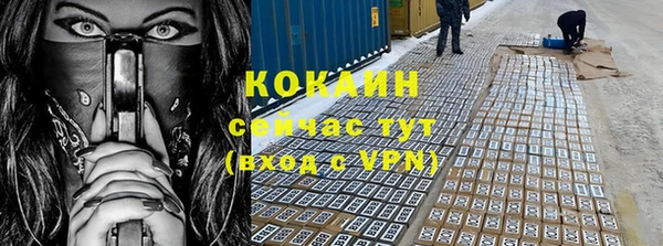 PSILOCYBIN Алзамай