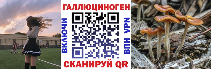 Псилоцибиновые грибы ЛСД  MEGA   Дедовск 