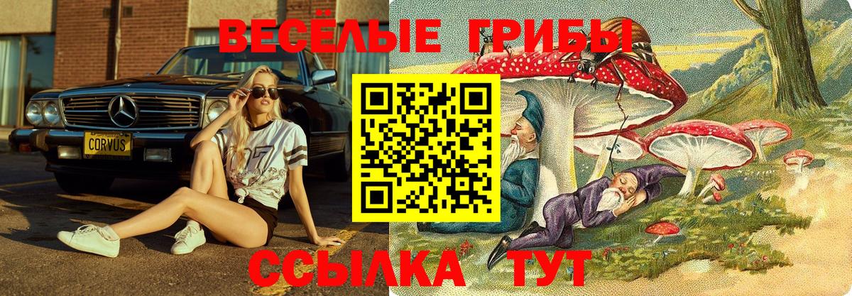 Дедовск  Псилоцибиновые грибы GOLDEN TEACHER  Псилоцибиновые грибы Cubensis  Вход с VPN 